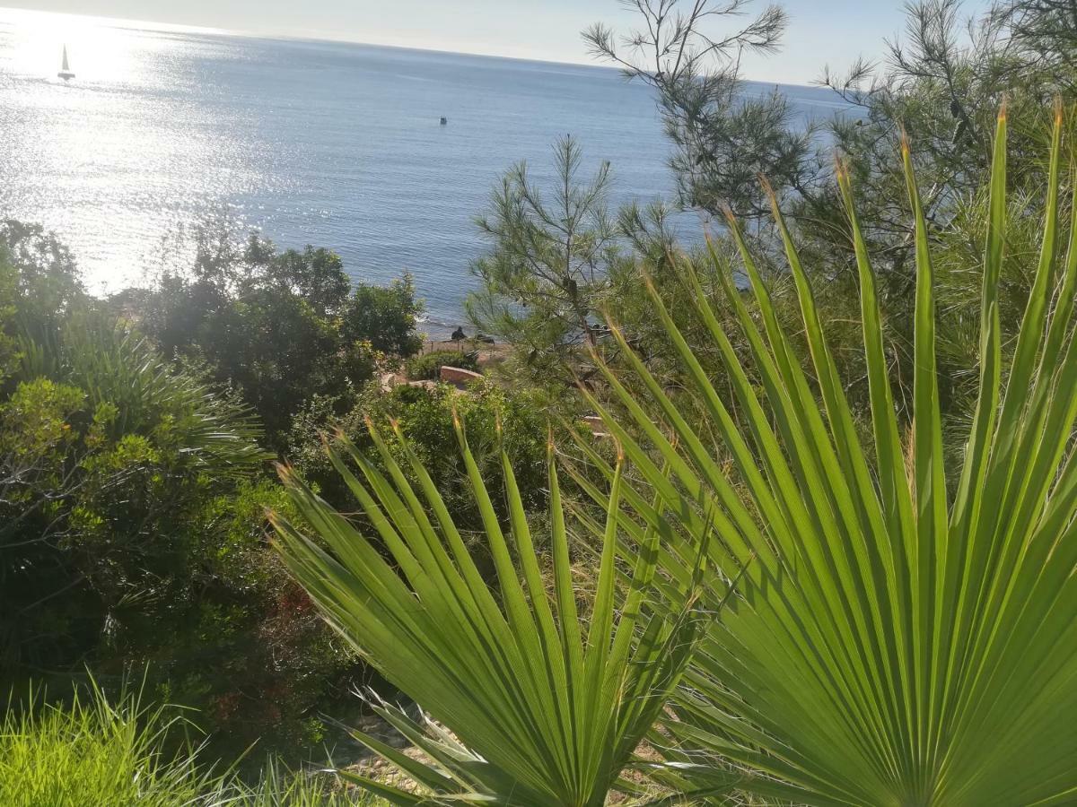 شقة Cabo Roig Bellavista III المظهر الخارجي الصورة
