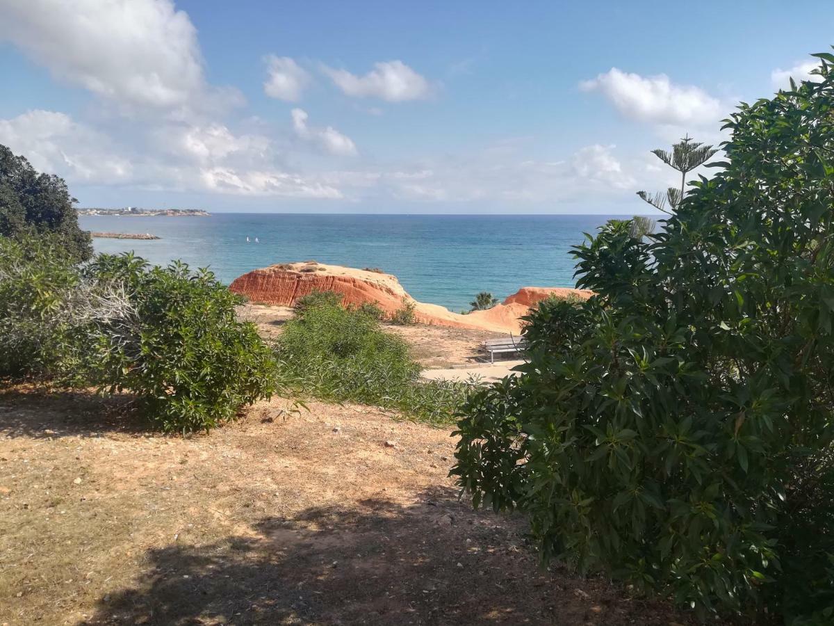 شقة Cabo Roig Bellavista III المظهر الخارجي الصورة
